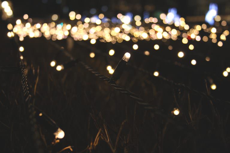 Rows of Christmas lights.